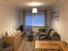 Apartament na Wierzbowej, Kędzierzyn-Koźle